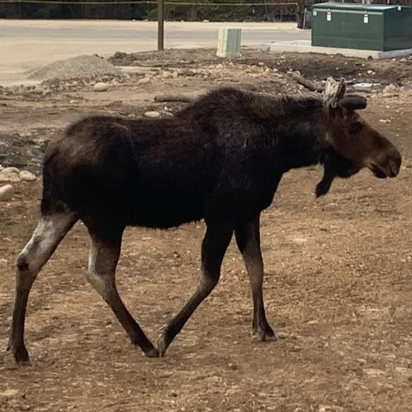 Meet your Posher, John - Picture 1 of 1